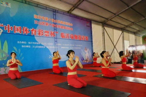 亮出风采,临沂市体育产业协会全面助力体博会
