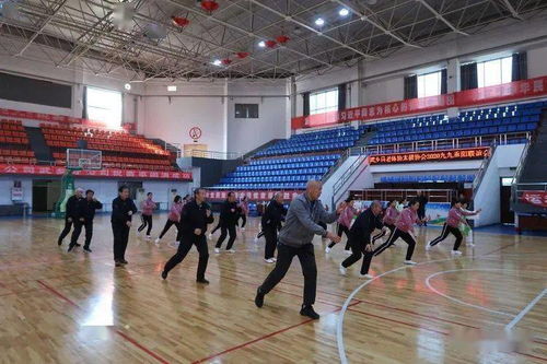 九月菊 2020年老体协太极协会九九重阳节联谊会花絮