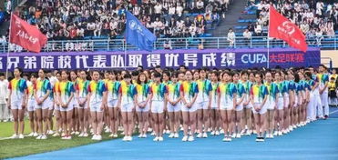 2017 2018赛季cufa大足联赛校园组东北赛区