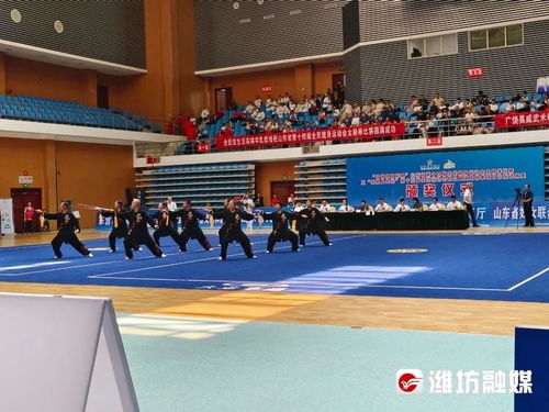 山东省全健会太极拳比赛 潍坊市代表队获佳绩