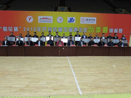 菊花杯 2018年开封市第五届青少年跆拳道锦标赛开幕