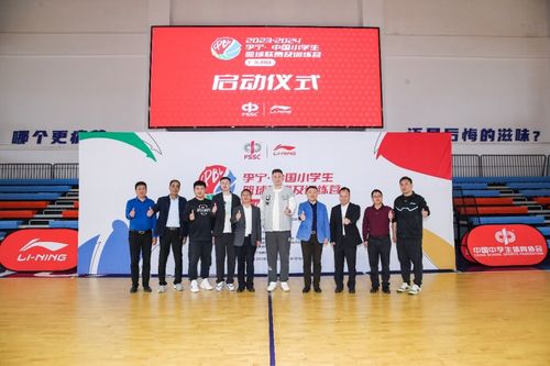 杜锋亮相中国小学生篮球联赛揭幕战 为冠军球队授旗
